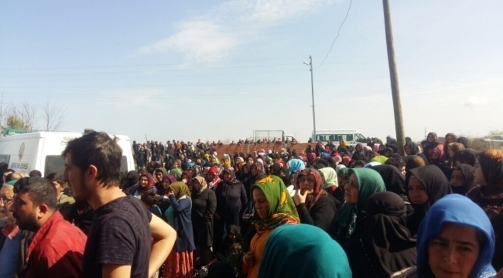 Samsun'da kadın cinayeti