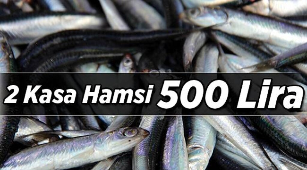 2 kasa hamsi 500 lira