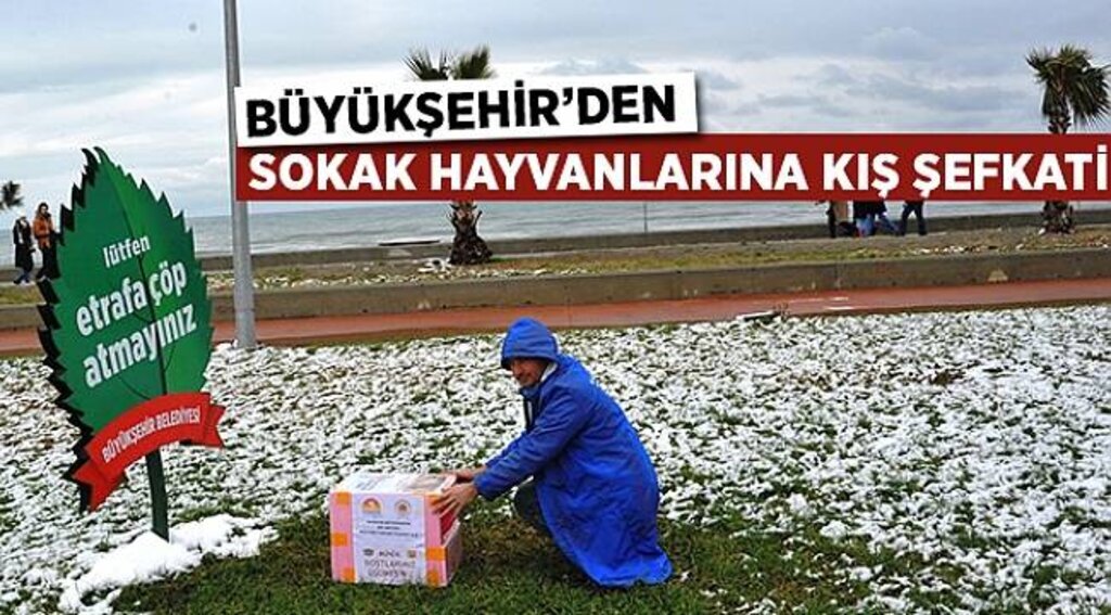 BÜYÜKŞEHİR’DEN SOKAK HAYVANLARINA KIŞ ŞEFKATİ