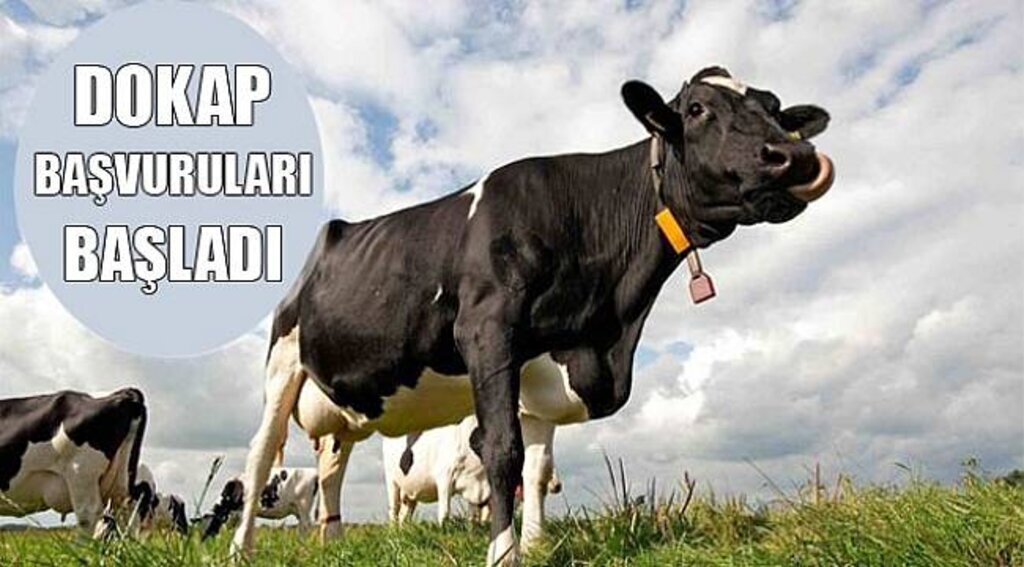 DOKAP Başvuruları Başladı - Samsun Haber