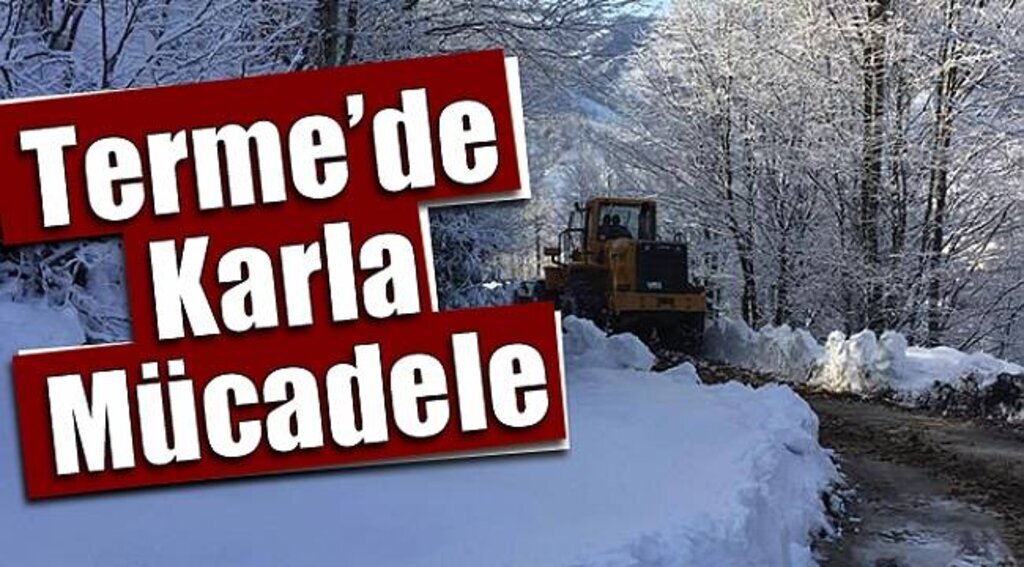 Terme Belediyesi karla mücadele çalışmaları