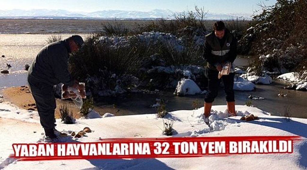 Yaban Hayvanlarına 32 Ton Yem Bırakıldı