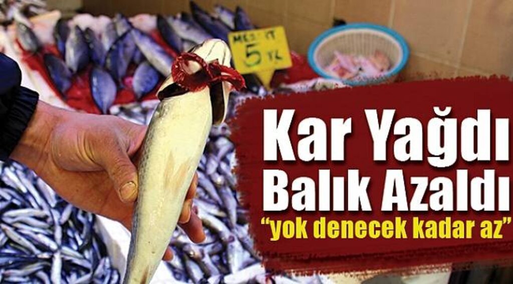 Kar yağdı, balık azaldı