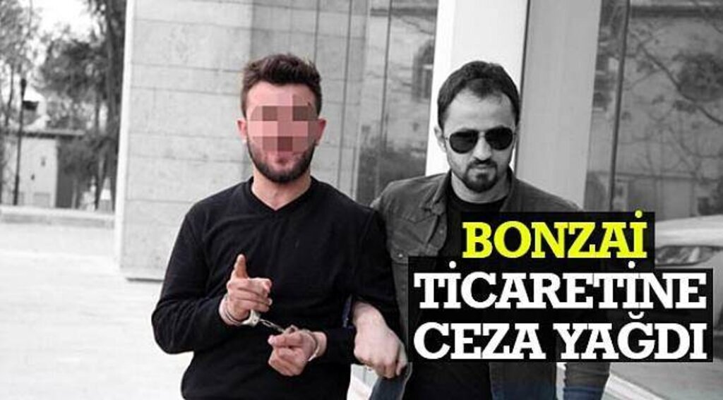 SAMSUN HABER - Bonzai ticaretine ceza yağdı
