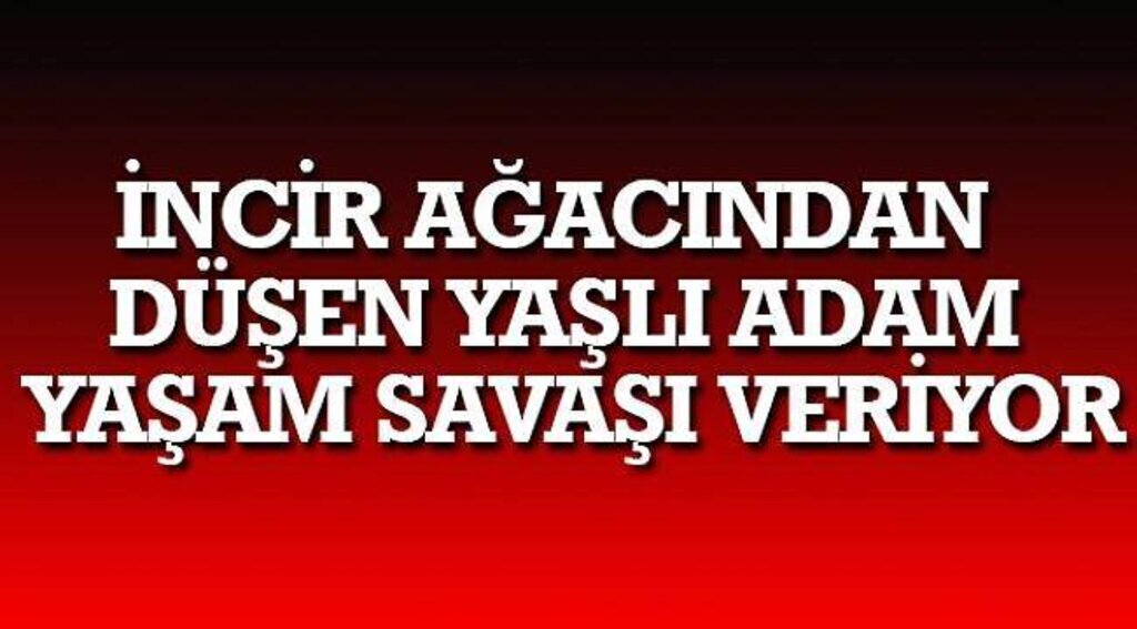 SAMSUN HABER - İncir ağacından düşen yaşlı adam yaşam savaşı veriyor