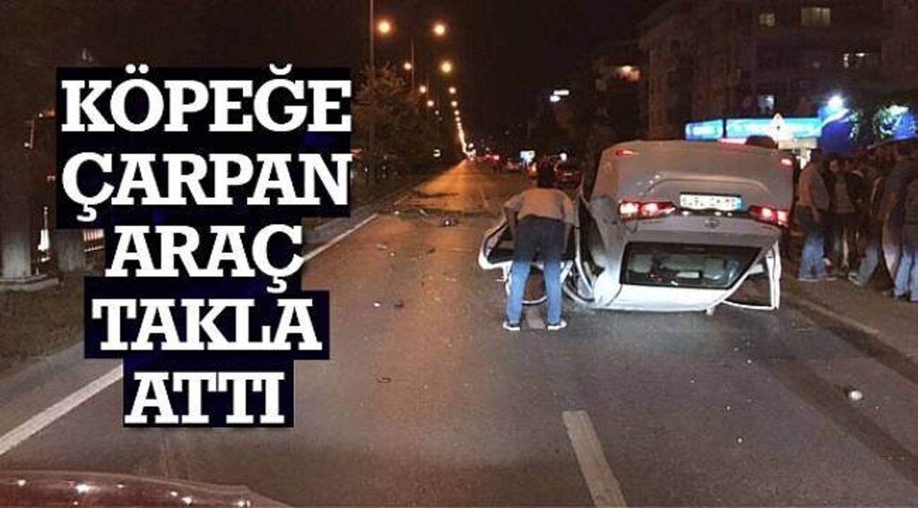 SAMSUN HABER - KÖPEĞE ÇARPAN ARAÇ TAKLA ATTI