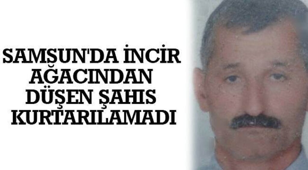 SAMSUN HABER - Samsun'da incir ağacından düşen şahıs kurtarılamadı
