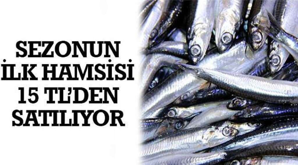 SAMSUN HABER - Sezonun ilk hamsisi 15 liradan satılıyor