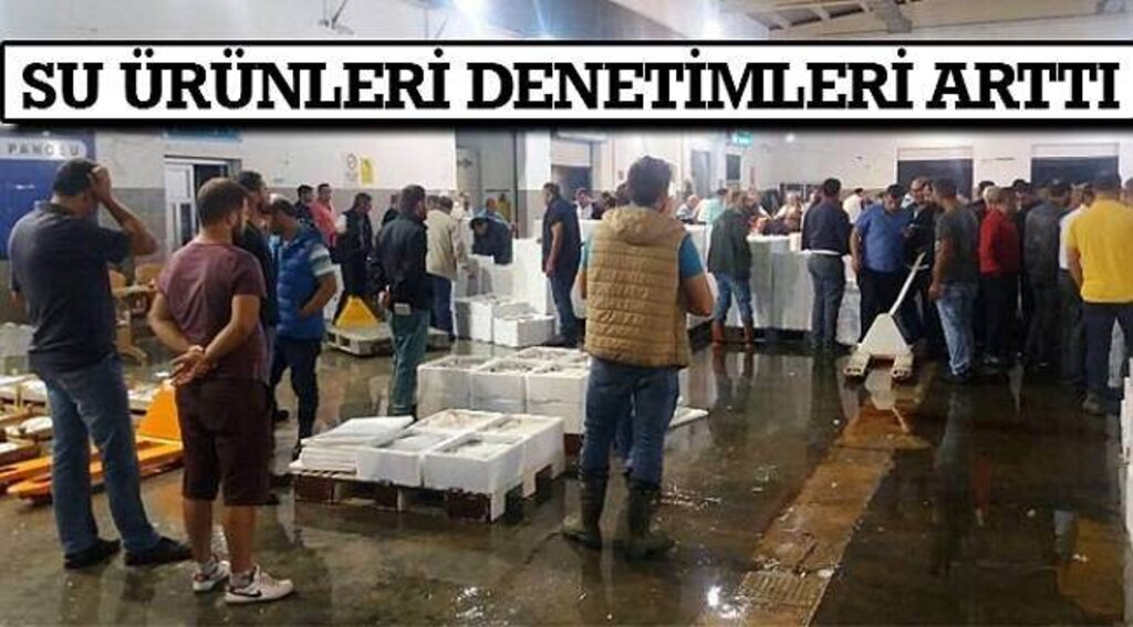SAMSUN HABER - Su ürünleri denetimleri arttı
