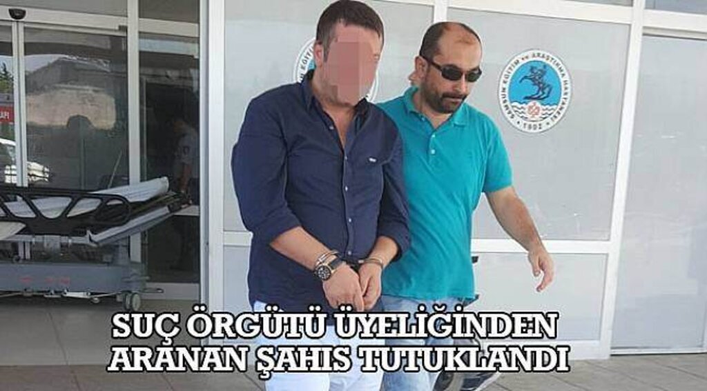 SAMSUN HABER - Suç örgütü üyeliğinden aranan şahıs tutuklandı