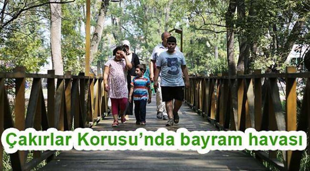 Taşçı: Korunun değerine değer kattık