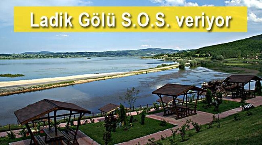 Ladik Gölü'nde kuruma tehlikesi