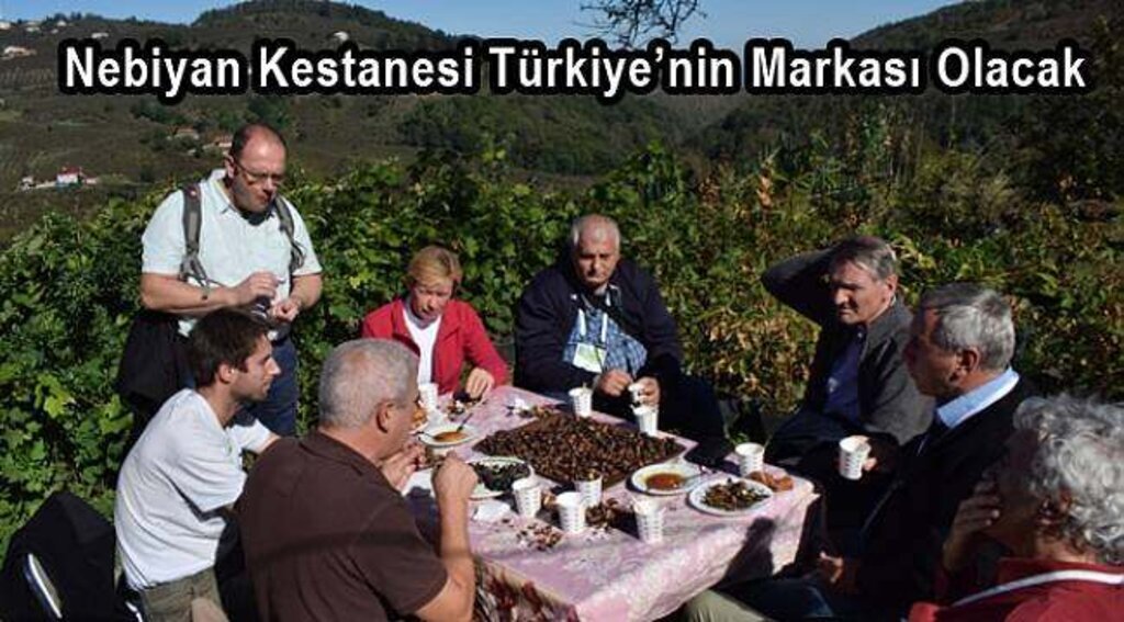 Nebiyan Kestanesi Türkiye’nin Markası Olacak