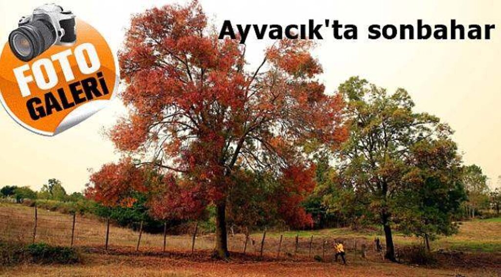 Saklı cennet Ayvacık'ta sonbahar