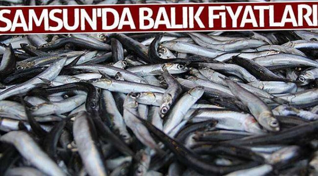 Samsun'da balık fiyatları