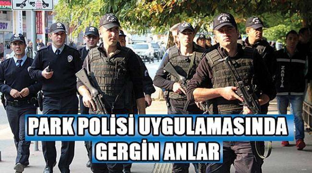 SAMSUN HABER - Park polisi uygulamasında 2 gözaltı