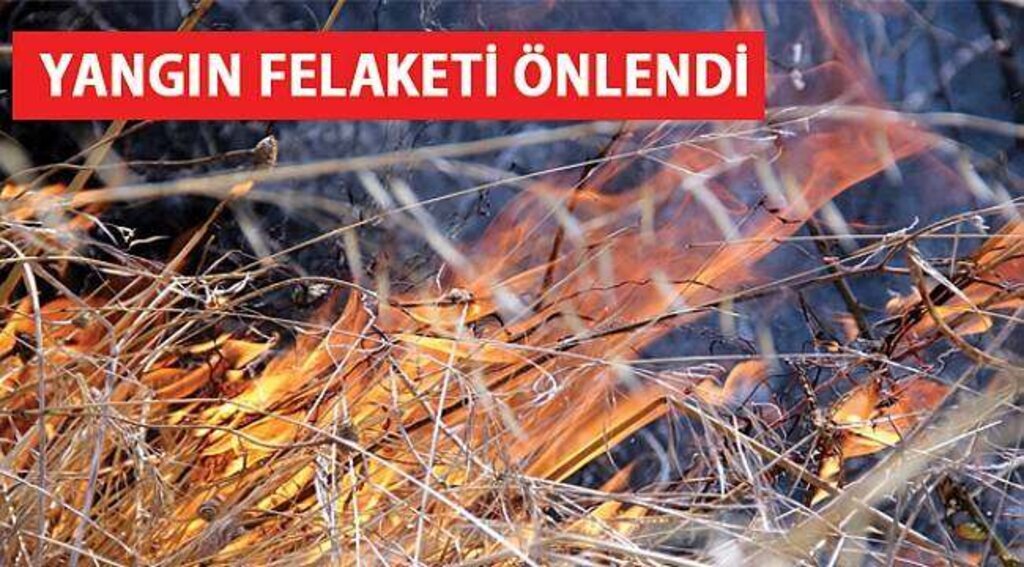 SAMSUN HABER - Evlerinden hortum çekerek yangına müdahale ettiler