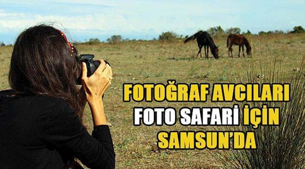 SAMSUN HABER - Fotoğraf avcıları "Foto Safari için" Samsun'da