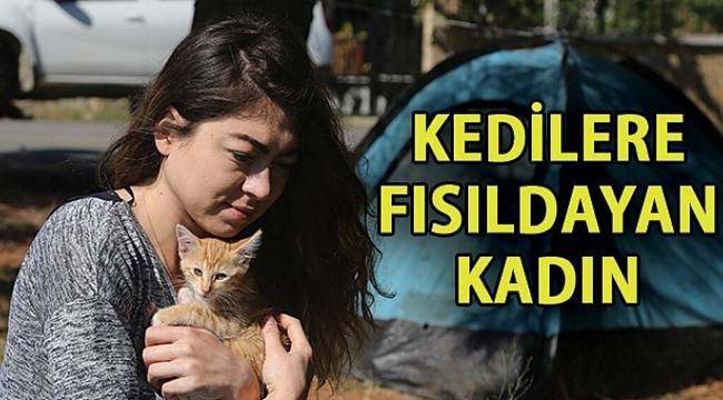 SAMSUN HABER- Kedilere fısıldayan kadın