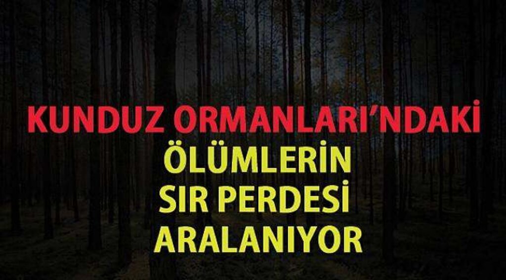SAMSUN HABER - Kunduz Ormanları'nda 2 sır ölüm