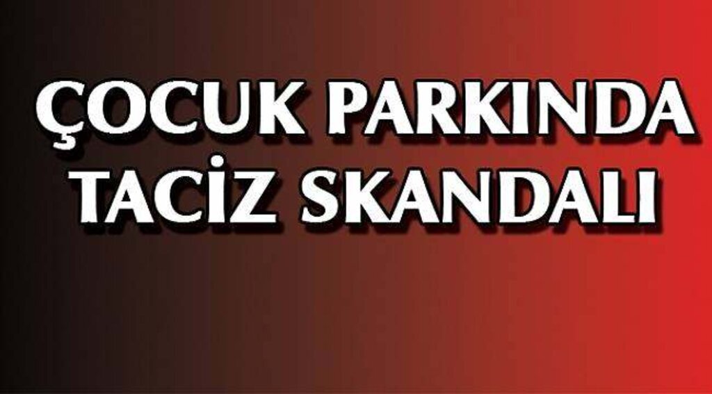 SAMSUN HABER - Parkta tacize tutuklama