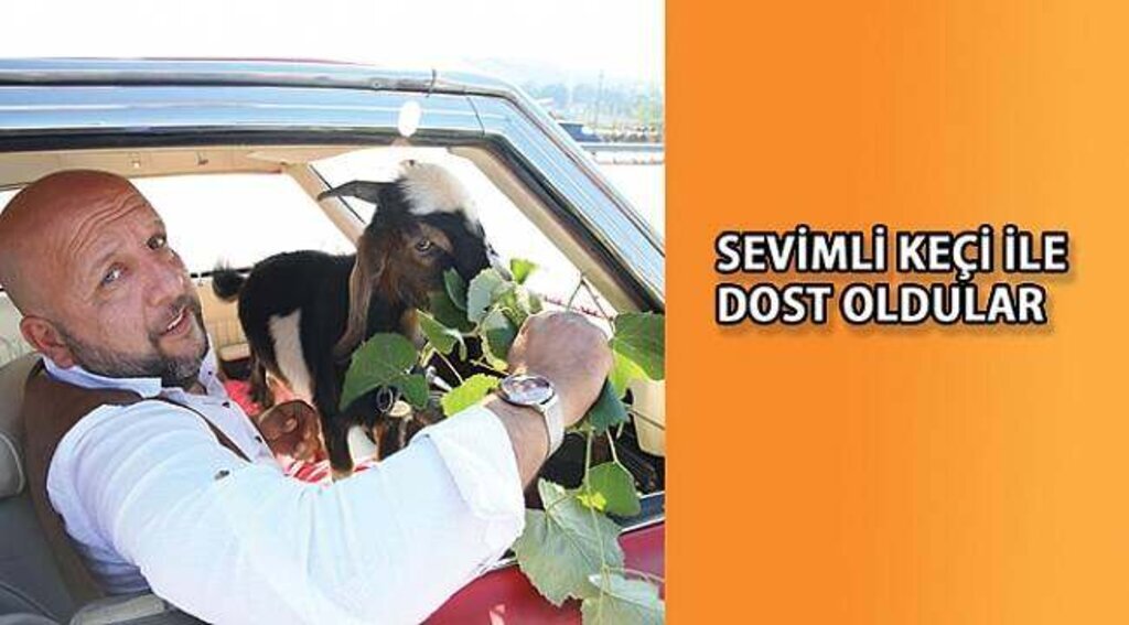SAMSUN HABER- Şakir adını verdiği keçiyi yanından ayırmıyor