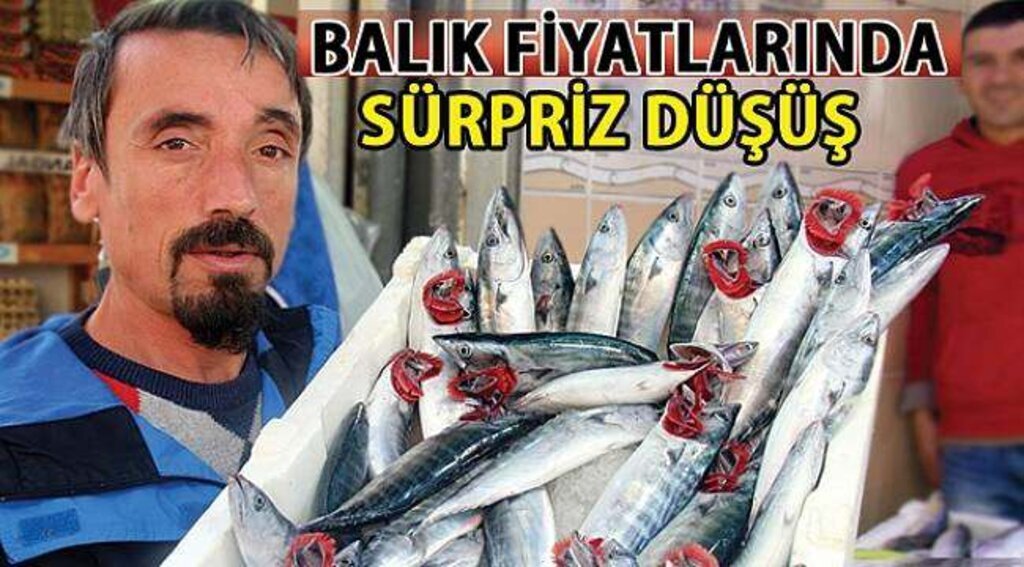 SAMSUN HABER - Samsun'da 3 palamut 10 lira