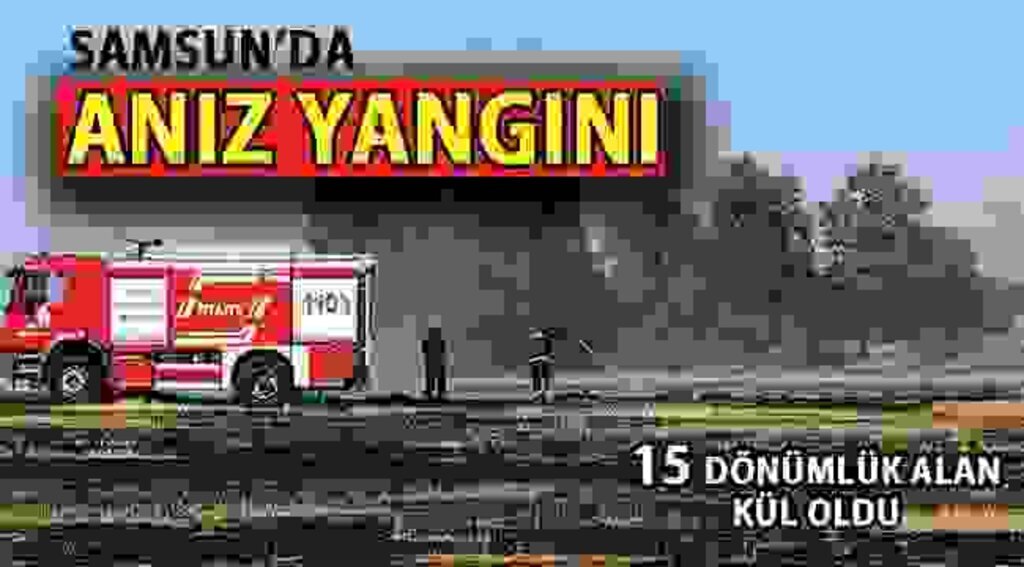 SAMSUN HABER - Samsun'da anız yangını