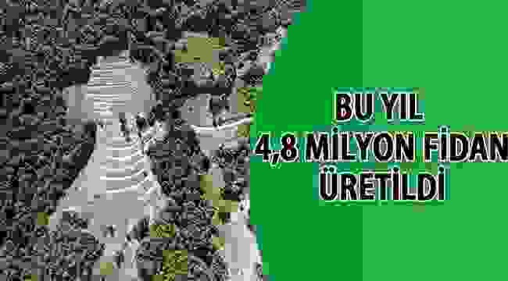 SAMSUN HABER - Samsun’da bu yıl 4,8 milyon fidan üretildi