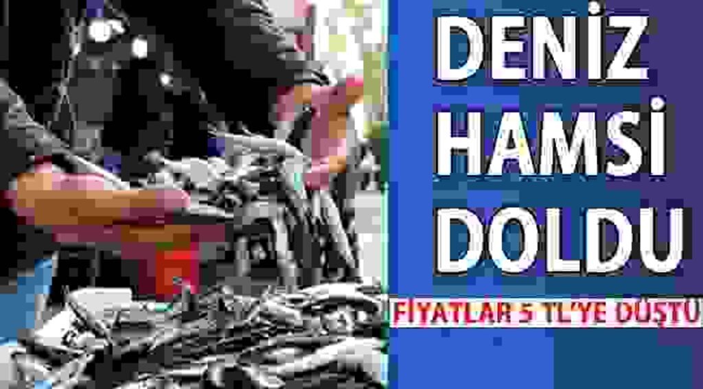 SAMSUN HABER - Samsun'da hamsi 5 lira