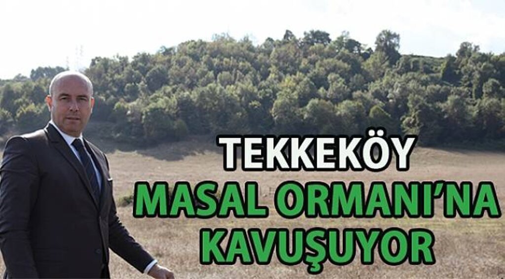 SAMSUN HABER - Tekkeköy 'Masal Ormanı' projesiyle adından söz ettirecek