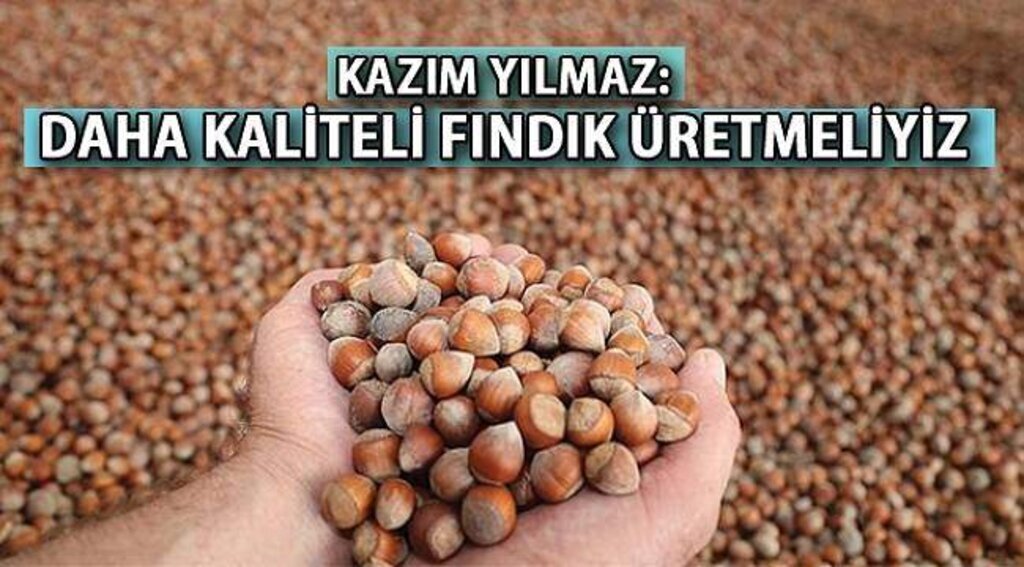 SAMSUN HABER - Yılmaz: “Daha kaliteli fındık üretmeliyiz”