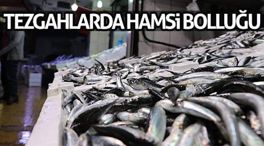 Tezgahlarda hamsi bolluğu