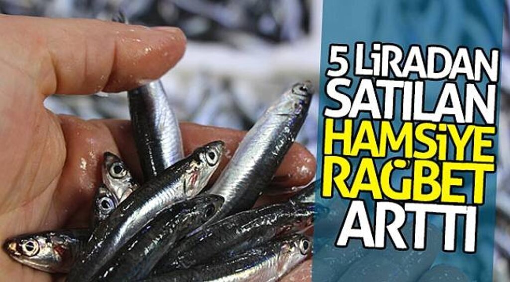 5 liradan satılan hamsiye rağbet arttı