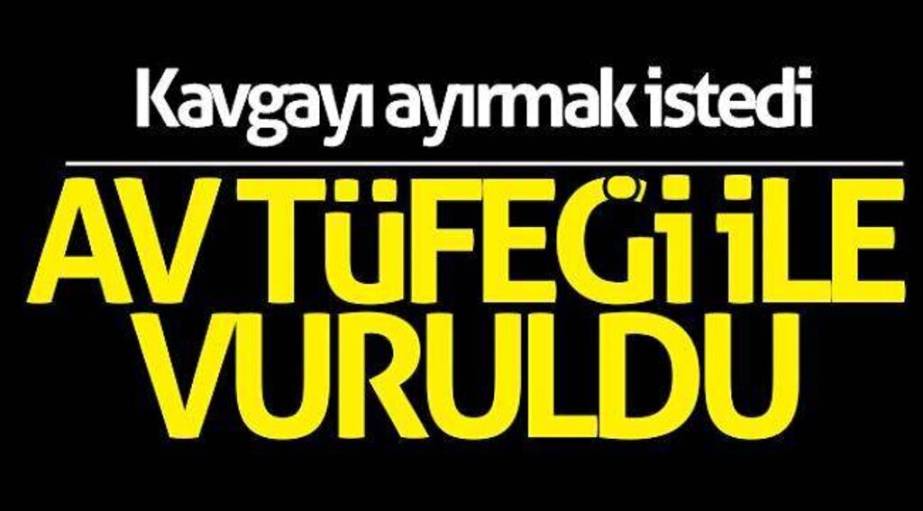 Kavgayı ayırmak istedi av tüfeği ile vuruldu