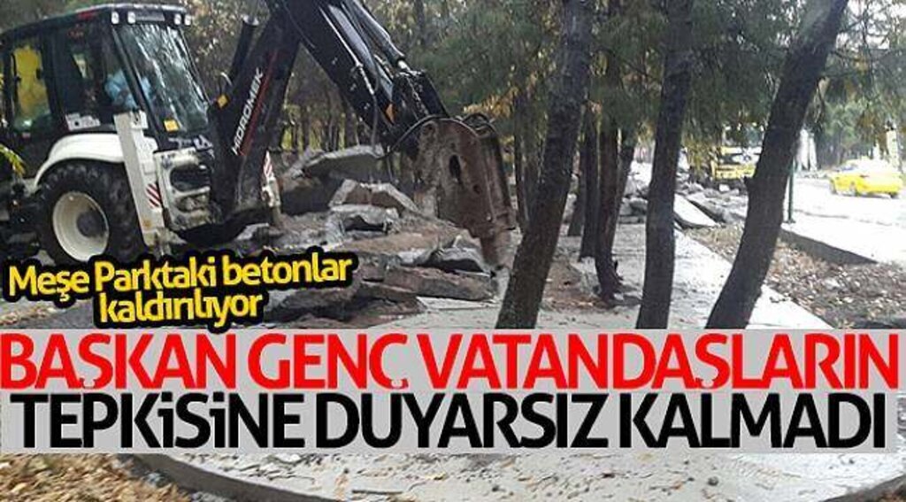 Meşe Parktaki betonlar kaldırılıyor