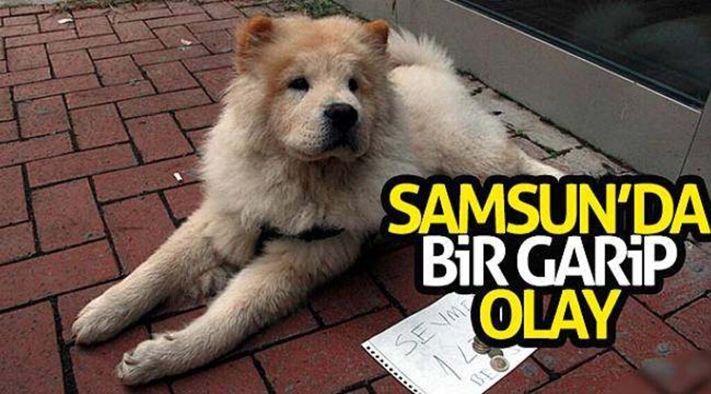 Samsun’da bir garip olay
