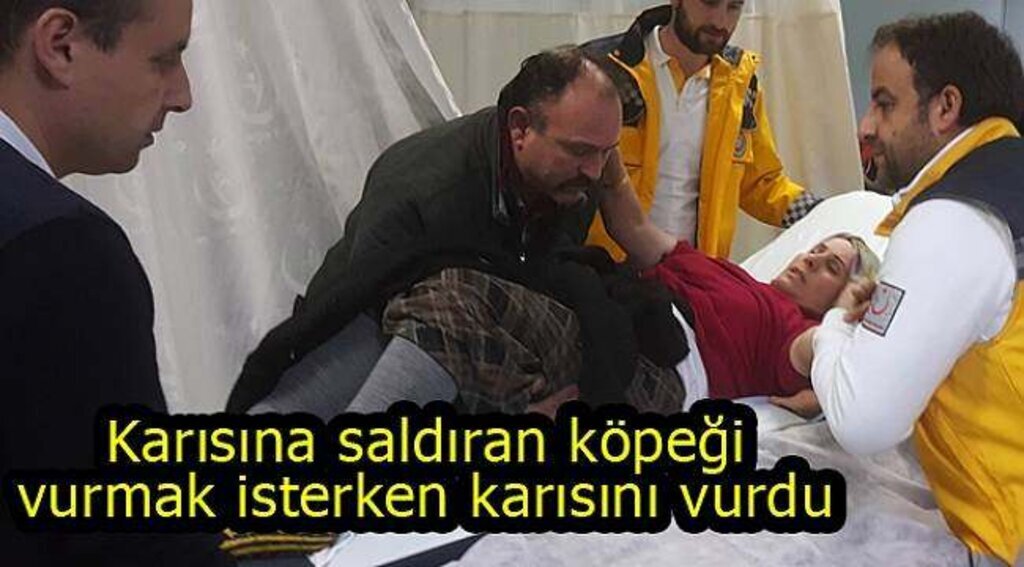 Samsun Haber - Karısını, köpeğin saldırısından kurtarmak isterken kazara vurdu