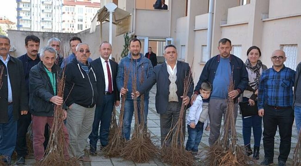 19 Mayıs'ta çiftlere kestane bahçesi