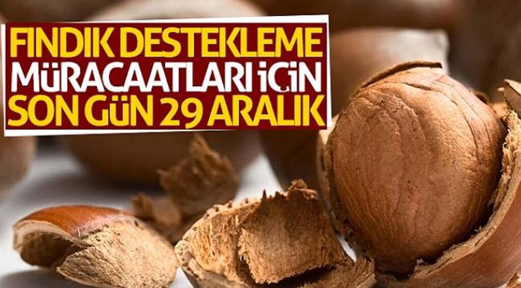 Fındık destekleme müracaatları için son gün 29 Aralık