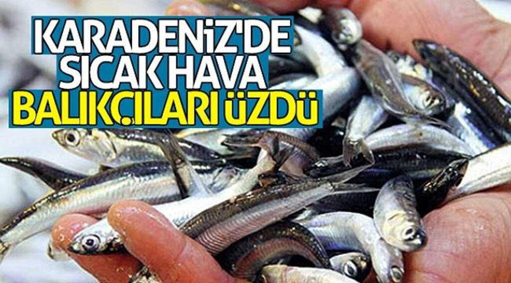 Karadeniz'de sıcak hava balıkçıları üzdü