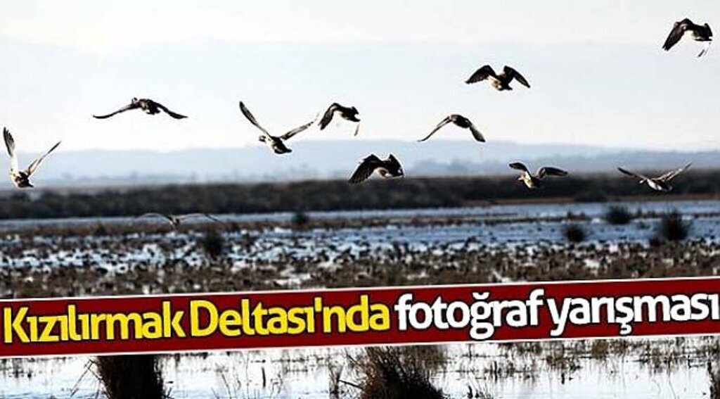 Kızılırmak Deltası'nda fotoğraf yarışması