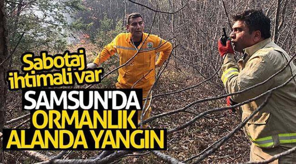 Samsun'da ormanlık alanda yangın
