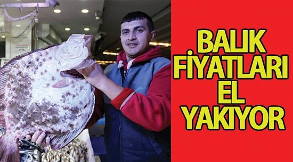 Bir adet kalkan 875 lira