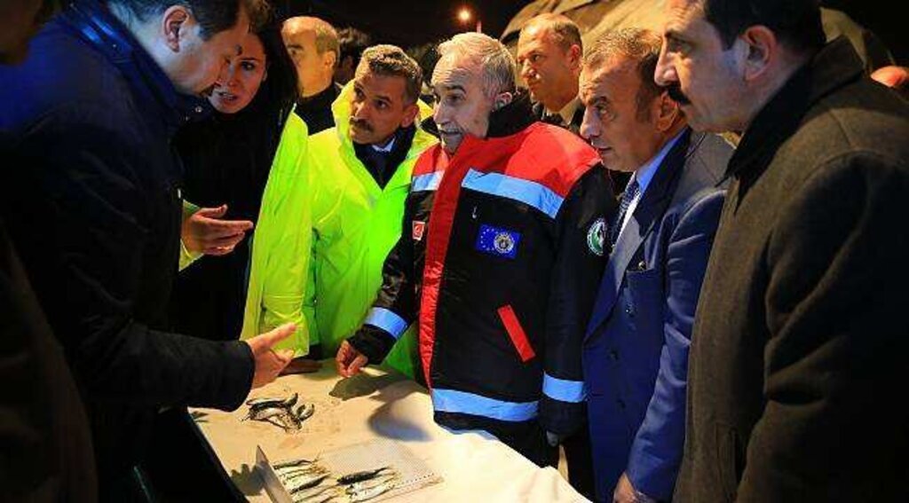 Fakıbaba ve Demircan Karadeniz'e yavru kalkan saldı