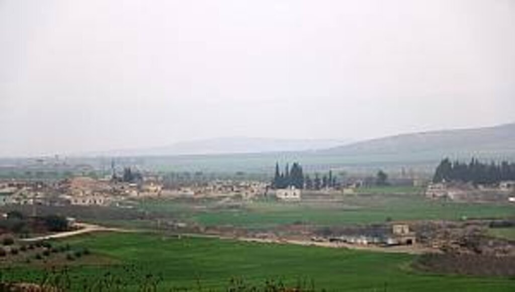 Esed rejiminden 'Afrin'e 'halk güçleri' girecek' açıklaması