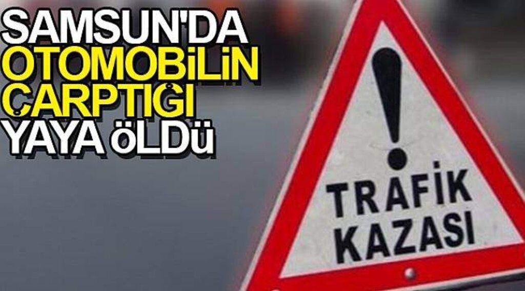 Samsun'da otomobilin çarptığı yaya öldü