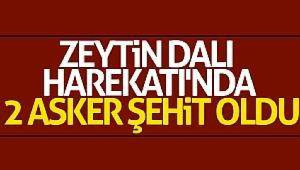 Zeytin Dalı Harekatı'nda 2 asker şehit oldu