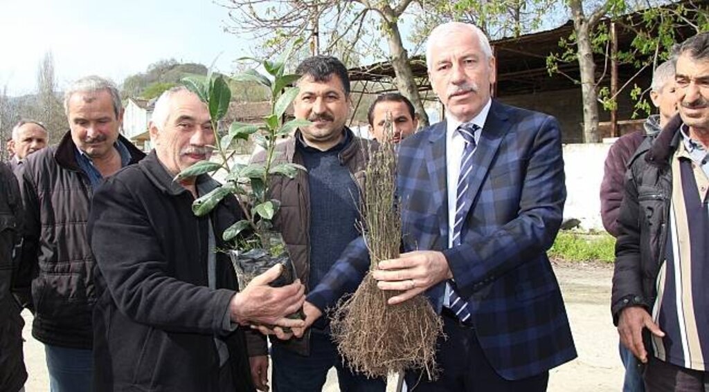 Alaçam Belediyesinden Arı Üreticilerine Ücretsiz Fidan Dağıttı