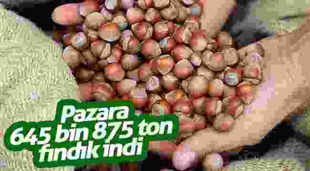Pazara 645 bin 875 ton fındık indi
